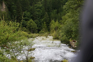 山间湍急溪流穿林而过