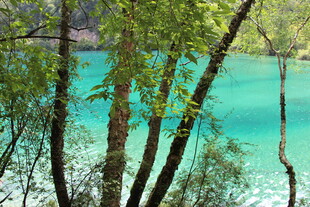 湖畔绿树环绕的幽美景致