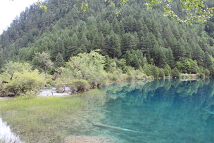 清澈蓝湖与葱郁山林
