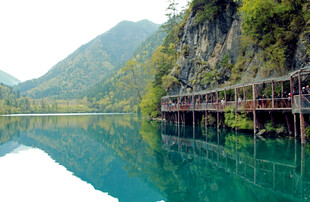 湖畔木桥映青山绿水