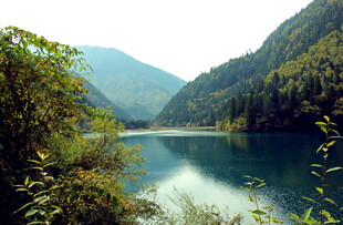 山间静谧湖景 绿意盎然