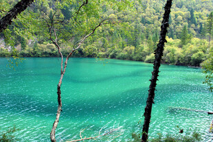 翠绿山林间的澄澈蓝湖