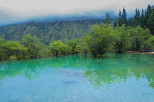 梦幻碧绿湖水与山林美景