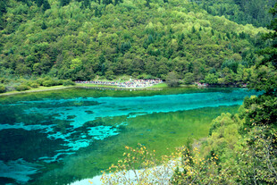 翠绿山林间的澄澈蓝湖