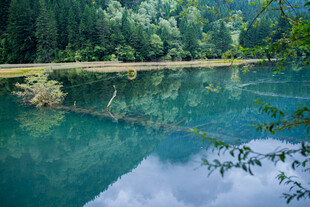 静谧幽蓝的森林湖泊