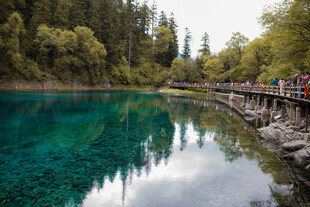 九寨沟清澈碧绿的湖水