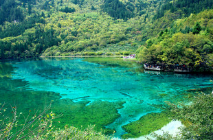 梦幻碧绿湖水 山林环绕