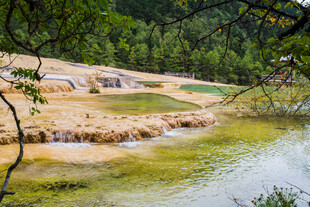 山间溪流旁的自然景致