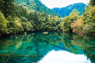 翠绿山林间的澄澈幽潭