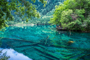 梦幻般的翠绿湖水美景