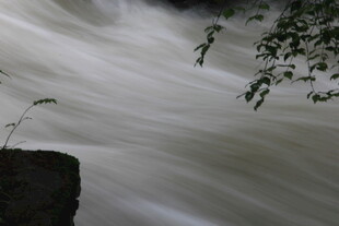 湍急溪流旁的绿植景致