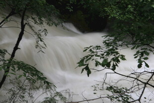 山间湍急溪流穿林而过