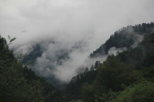 云雾缭绕的山间美景