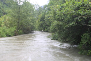 山间湍急河流 绿意环绕