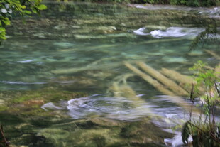 清澈溪流中的木质结构