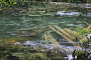清澈溪水中的木质结构