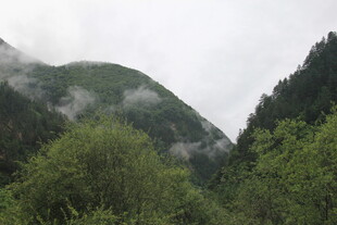 云雾缭绕的山间绿意景色