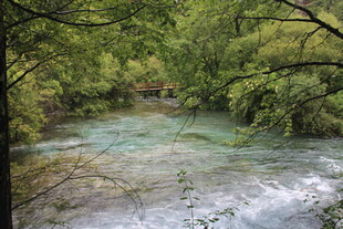 林间溪流 自然清新之景