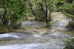 山间溪流 绿意盎然的景致