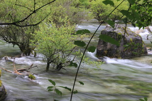 山间溪流与绿植景观