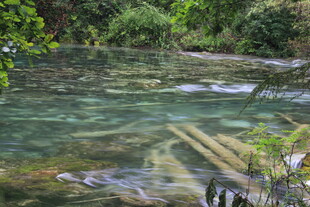 清澈溪流中的木质景象