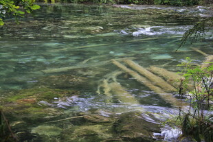 清澈溪谷中的自然纹理