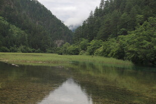 山间静谧湖景 绿意盎然