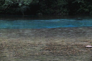 蓝水浅滩边的自然景致