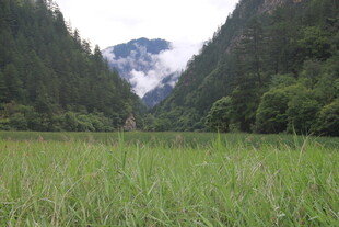 山间绿野 云雾缭绕之景