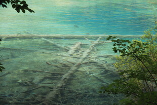 俯瞰翠绿田野与蓝天