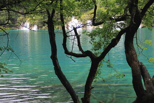 湖畔树影下的幽蓝湖水