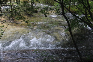 山林间流淌的清澈溪流