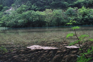 山间静谧水域与岸边景致