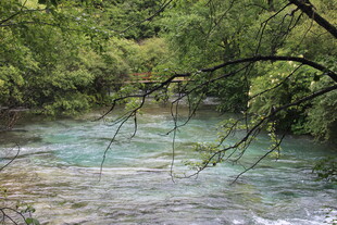 山间溪流 绿意环绕的美景