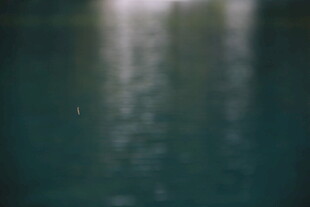 水面光影倒影朦胧景象