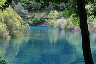 幽美蓝湖映翠林