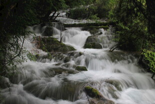 山间溪流潺潺流淌