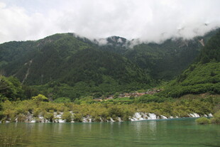 青山绿水间的白鹭栖息地
