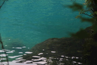 清澈湖水边的自然景致