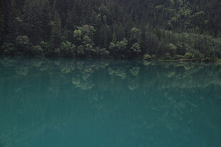 碧绿湖水映岸边林木