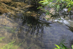 溪边倒影 自然清新景致