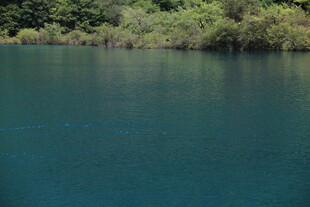 静谧蓝湖与岸边葱郁植被