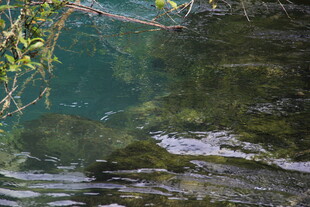 清澈溪流中的水下景致