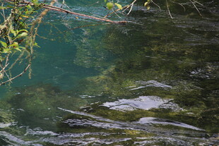 清澈溪水下的嶙峋怪石