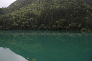 翠绿山林环绕的澄澈湖水