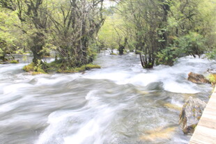 山间溪流潺潺 绿意环绕