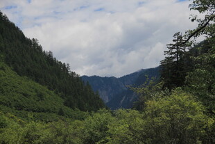 青山翠谷间的秀丽风光