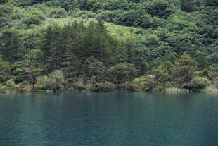 静谧山林环绕的幽蓝湖水