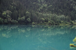 幽美翠湖映山林