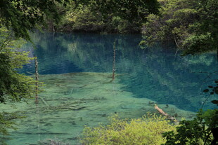 幽蓝清澈的森林湖泊